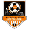 Royal Cappellen FC
